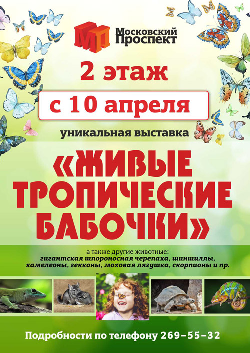 С 10 апреля 2016 - выставка живых бабочек и экзотических животных в ТРЦ «Московский проспект»
