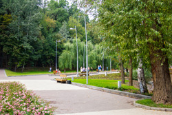 Аллея в Центральном парке в Воронеже