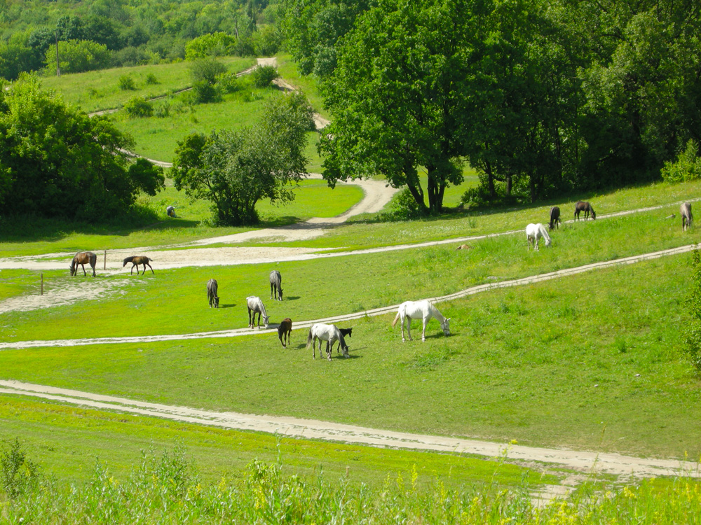 Фото Парка Динамо